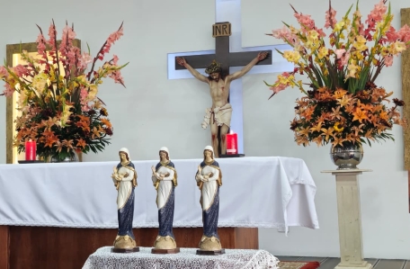 Nuestra Señora la Virgen de la Vida